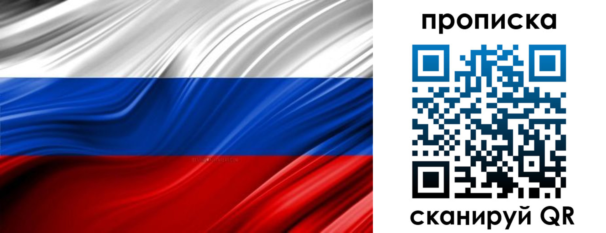 прописка для школы в Владимире